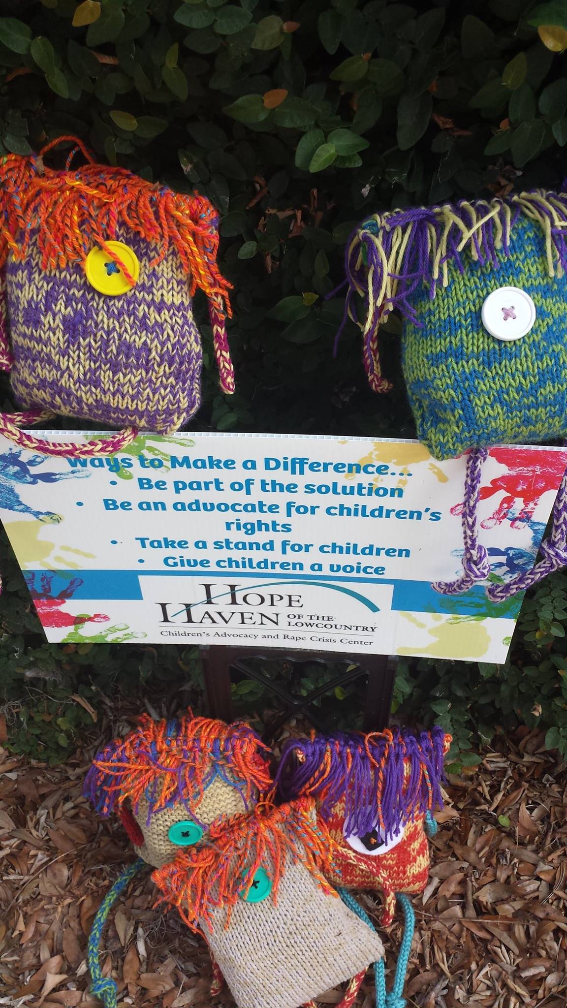 Photo 8 from Hope Haven of the Lowcountry, Inc.